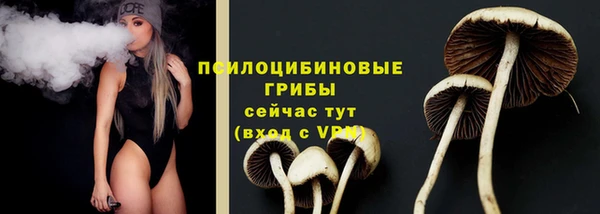 ECSTASY Балабаново