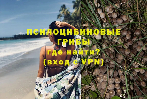 винт Балахна